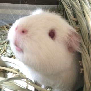 良いご縁を本当にありがとうございました。