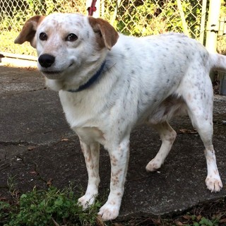 赤い糸の里親さん。僕はここです