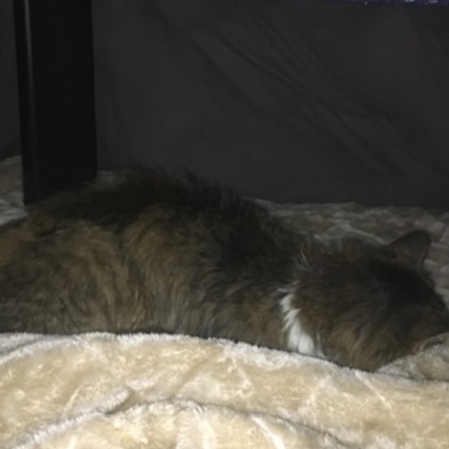 あきあきあっきーのカバー写真