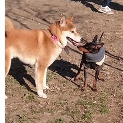 ラン＆お手入れに行ってきたよ