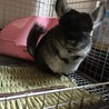 の写真