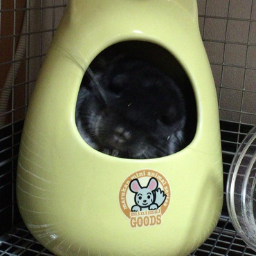 の写真