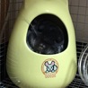 の写真
