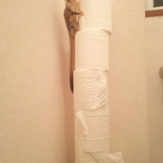 素敵な出会いを待ってます