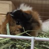 来たばっかりの頃