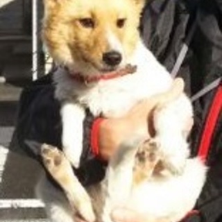 人が大好きな「せきちゃん」