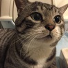 里親初日 お互い緊張
