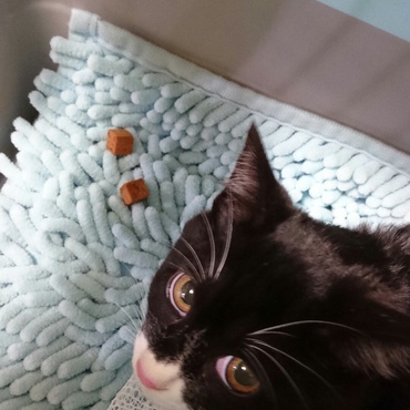 オヤツ食べていいの？