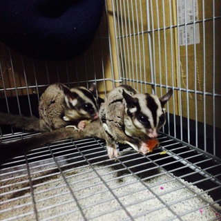 大切にして下さる方