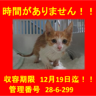 里親決定！！素敵な家族ができました(*´▽｀*)