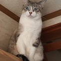 ベージュ色がきれいな女の子