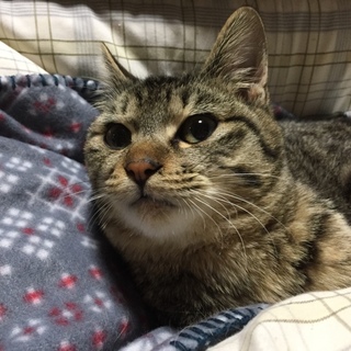 ご縁がありますように。。