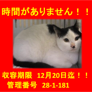 里親決定！！家族ができました(*´▽｀*)