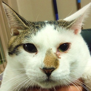 【緊急】掲載期限は１２月１４日です