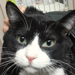 【緊急】掲載期限は１２月１４日です