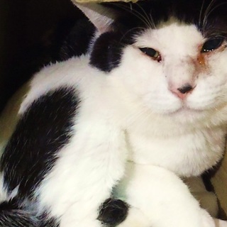 【緊急】掲載期限は１２月１４日です