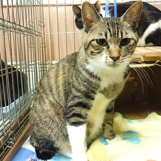 【緊急】掲載期限は１２月１４日です