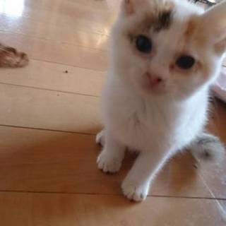 ＊家族にしてください＊