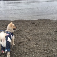 けんた