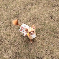 なな