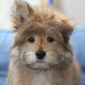 ボーちゃん、ちょっとビビり君です。