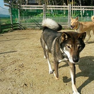 食いしん坊女子みきちゃん♪