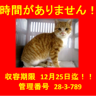 里親決定！！家族ができました(*´▽｀*)