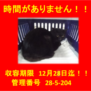 里親決定！！家族ができました(*´▽｀*)