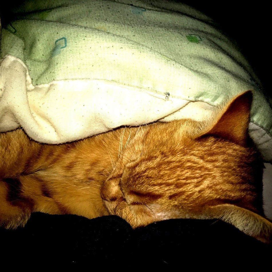 いちかのカバー写真