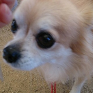 現在トライアル中です。かんたくん。