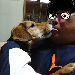 ペロペロタイム