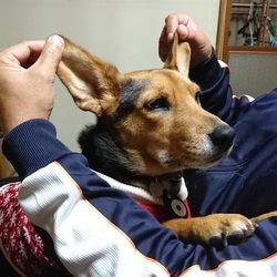 「ペロペロタイム」サムネイル2