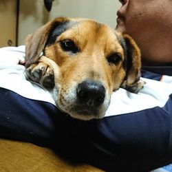 「ペロペロタイム」サムネイル3