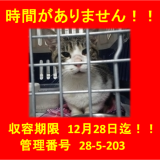 里親決定！！素敵な家族ができました(*´▽｀*)