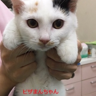 ちょっぴり困り顔＾＾の３兄弟