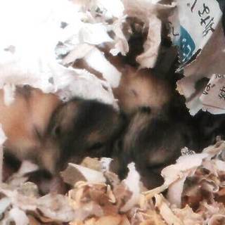 ありがとうございました