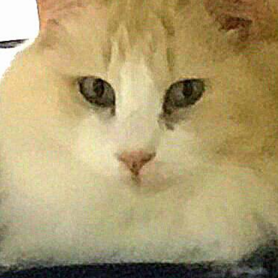 大福のカバー写真