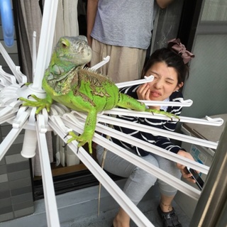 里親探しています