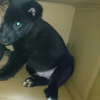 大至急！！よろしくお願いします‼