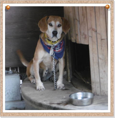 ハルルちゃん ❤はるるんさま❤X\u0027masStick❤✨️ ❤はるるんさま❤X\u0027masStick