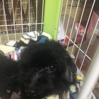 アレルギー持ちだけど、元気です！