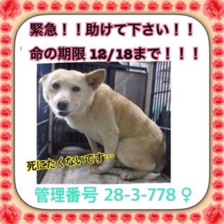 緊急！命の期限があと数時間しかありません！；＿；