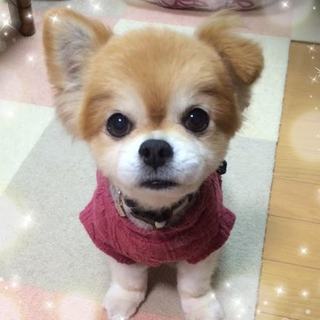 素敵な家族ができました、ありがとうございました♪