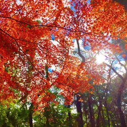 あったかい休日の過ごし方