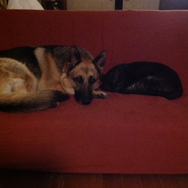 あおべーべのカバー写真