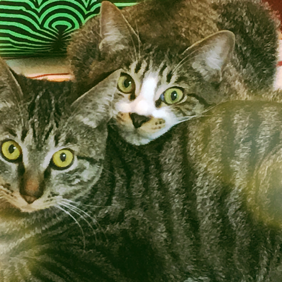 マーチのカバー写真