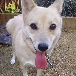 優しい美人な女の子♪