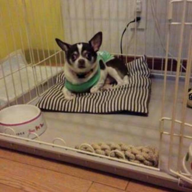 うしたろうのカバー写真