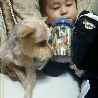 里親募集です！