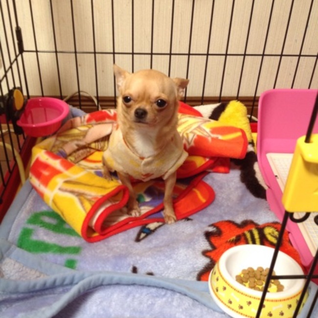 岐阜のあっこさんのカバー写真